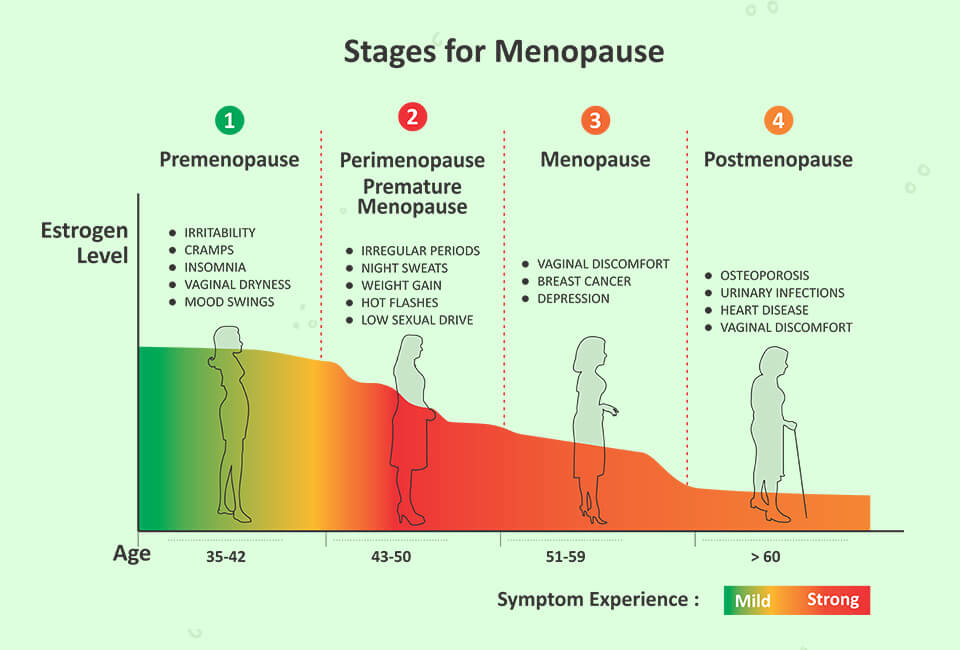 Best herbal solution for menopause and women health - Herpulse