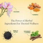 HerThyrom -  For Autoimmune Thyroid Symptoms - Image 3